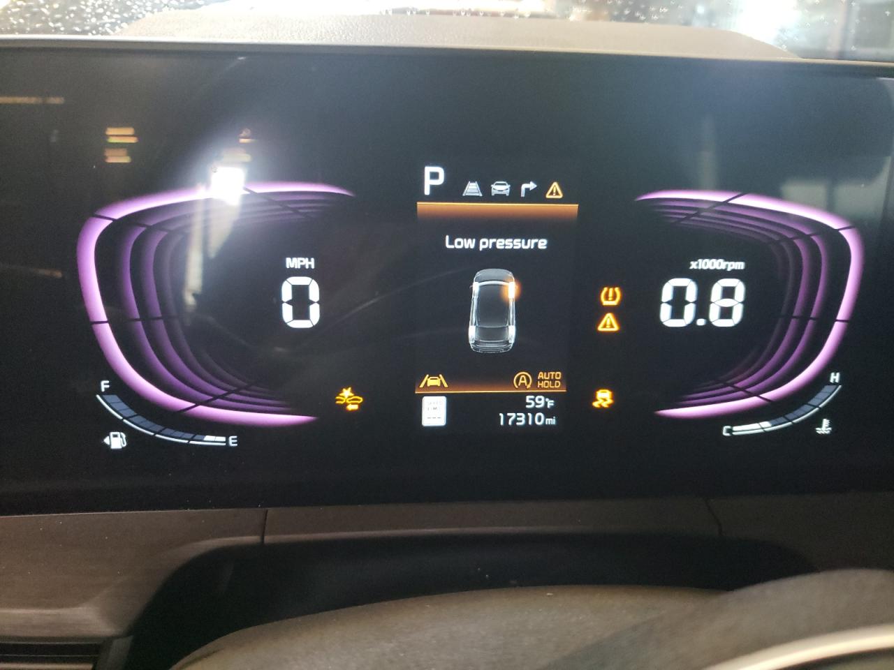 2021 Kia Telluride Lx VIN: 5XYP24HC1MG097661 Lot: 93237245