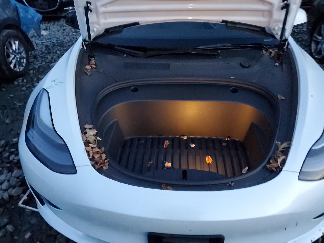 2023 Tesla Model 3 VIN: 5YJ3E1EA3PF585657 Lot: 93311655