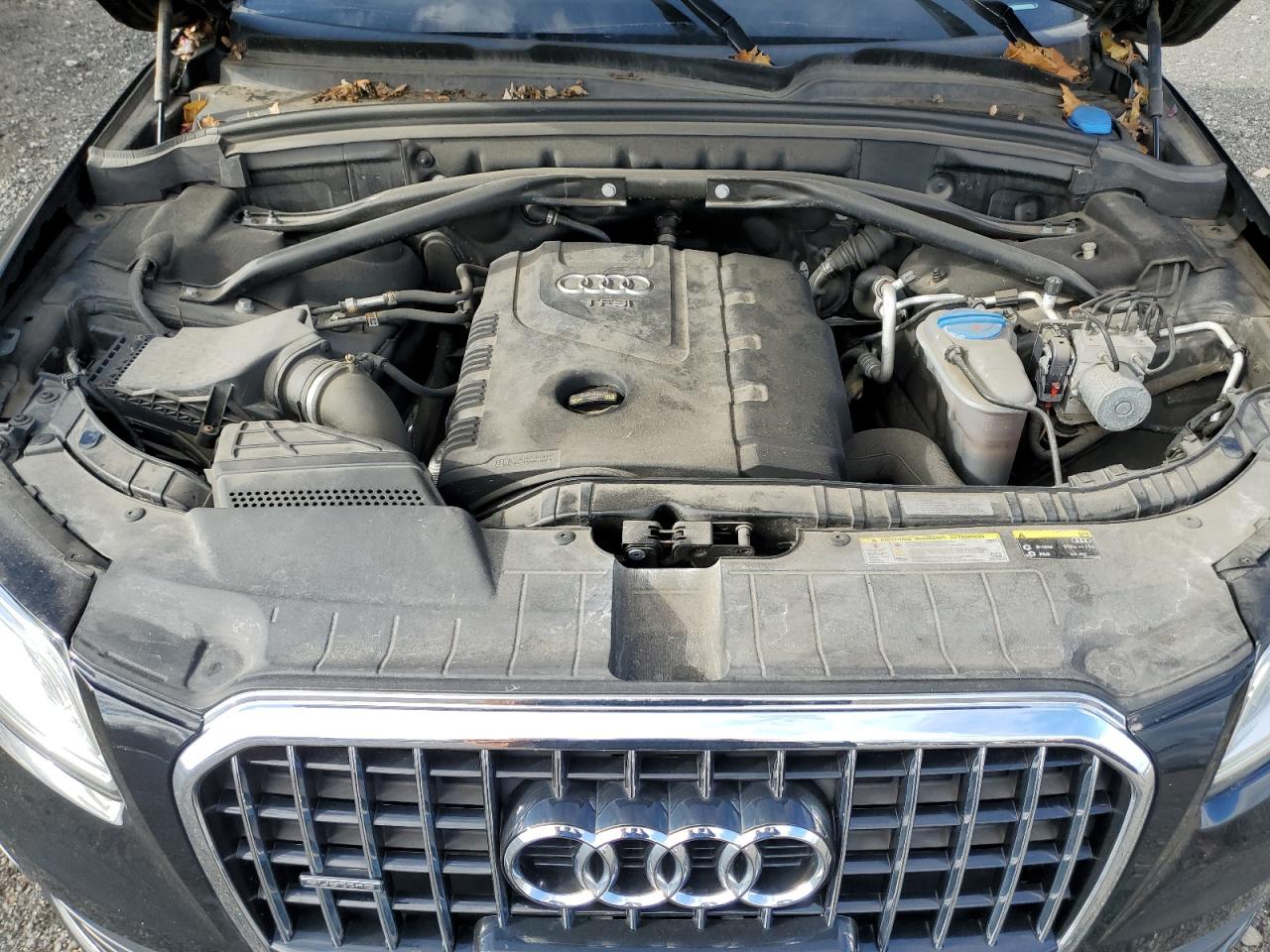 2014 Audi Q5 Premium Plus VIN: WA1LFAFP6EA062844 Lot: 92884945