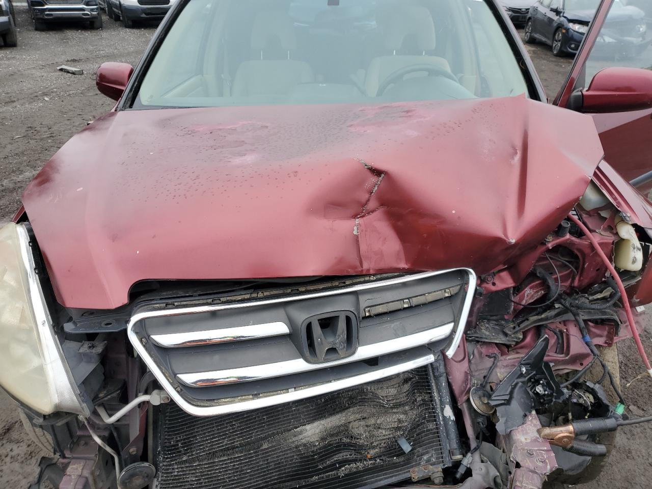 2005 Honda Cr-V Ex VIN: JHLRD78825C033900 Lot: 93450755