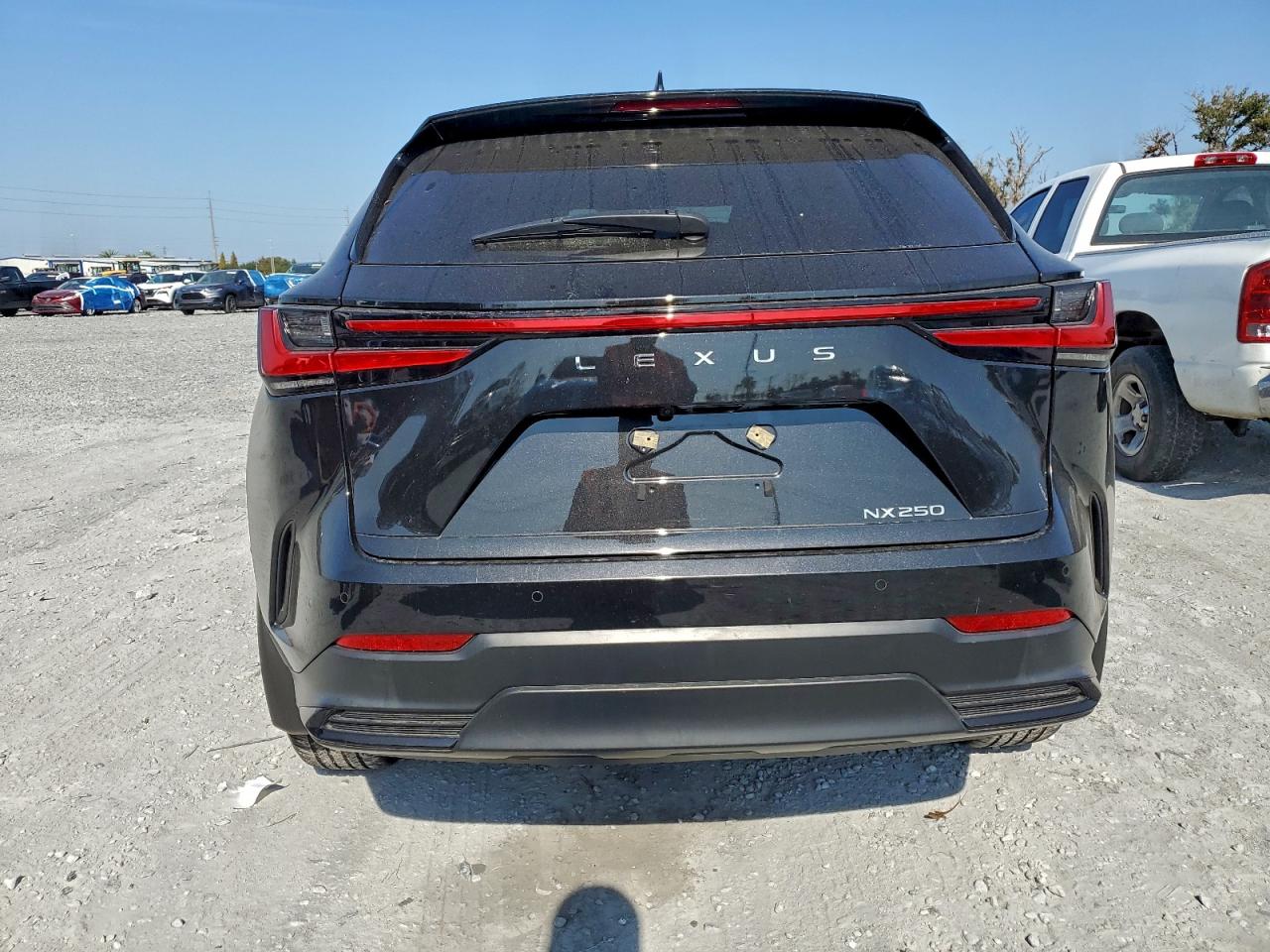2024 Lexus Nx 250 Premium VIN: 2T2GDCAZ1RC011878 Lot: 94310565