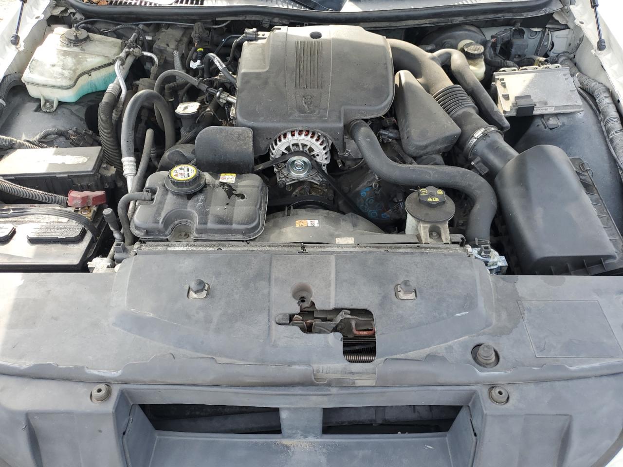 2006 Lincoln Town Car Executive VIN: 1L1FM88W46Y636160 Lot: 91742945