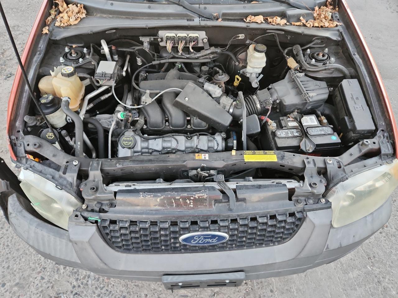 2006 Ford Escape Xlt VIN: 1FMYU93116KB66827 Lot: 92729945