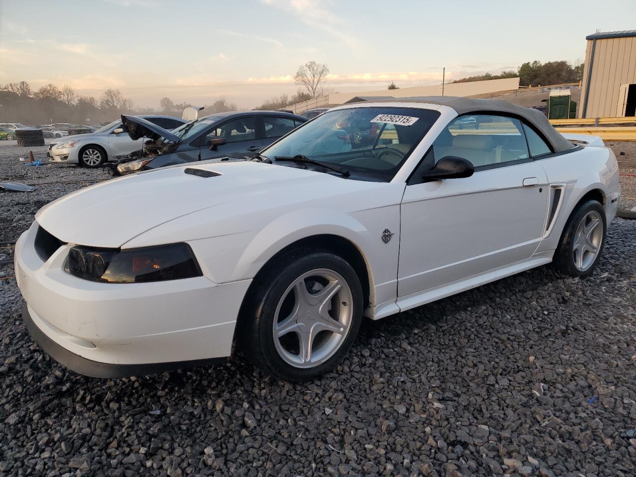 1999 Ford Mustang Gt