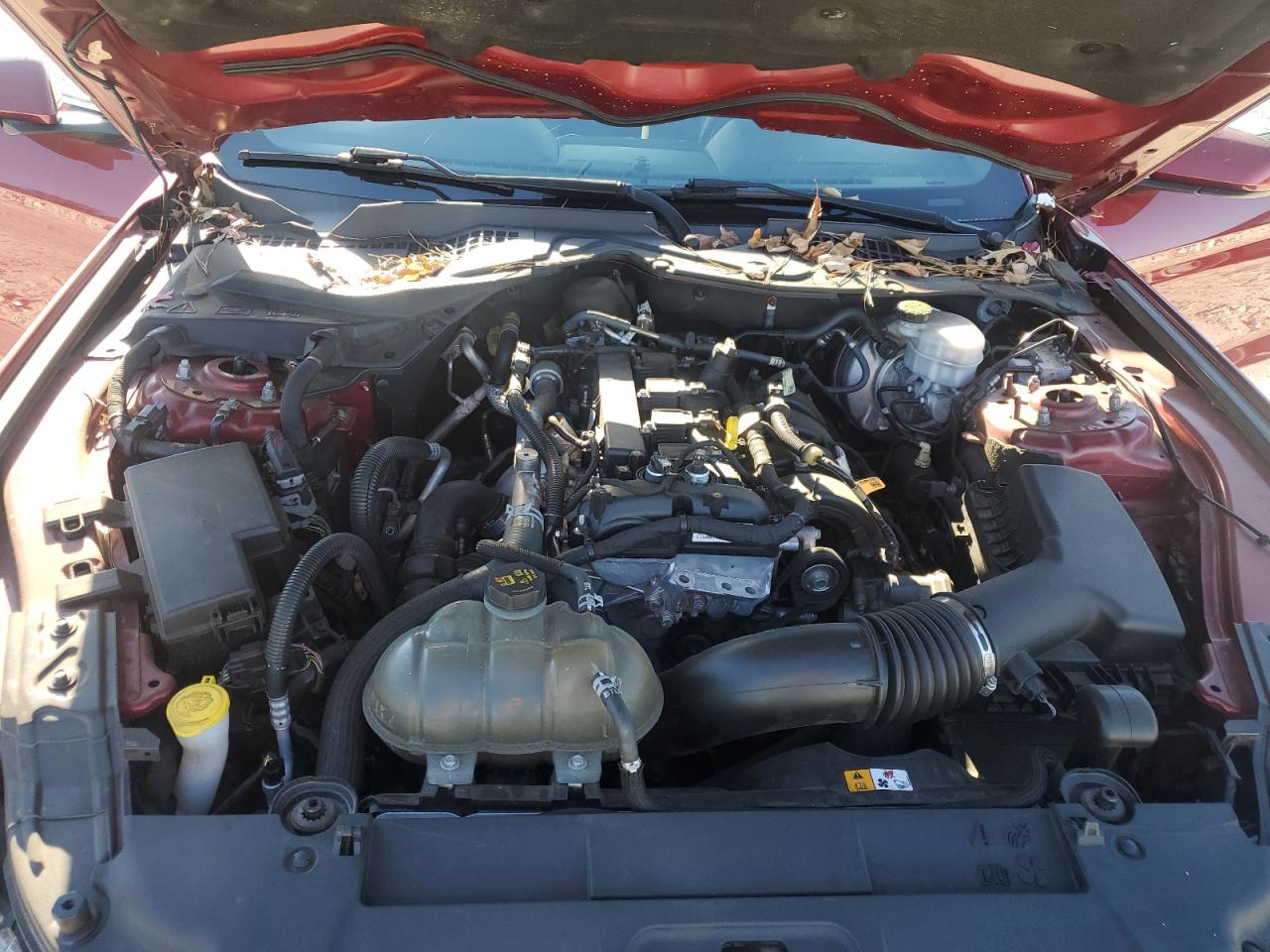 2018 Ford Mustang VIN: 1FA6P8TH2J5121404 Lot: 92993925