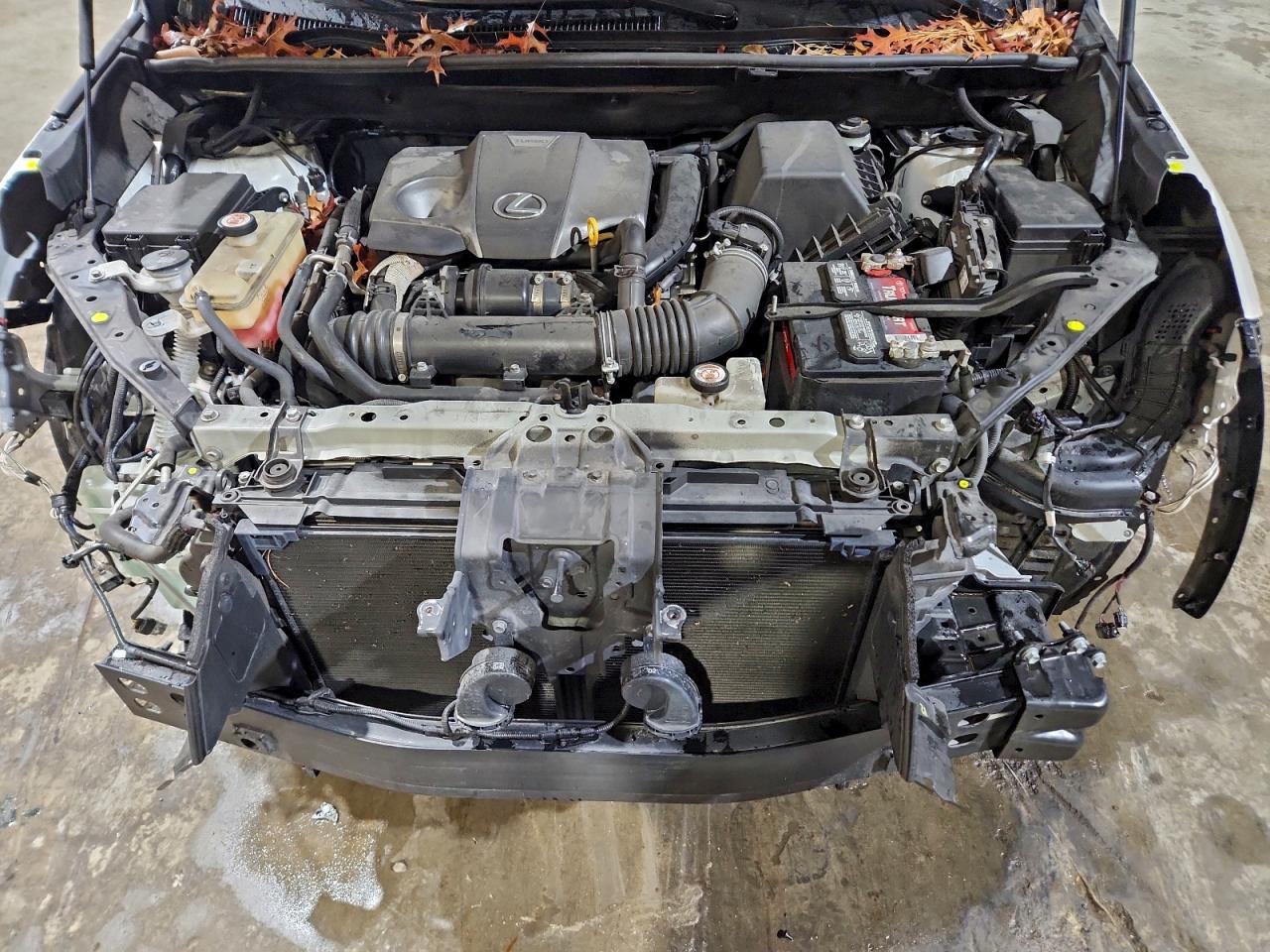 2020 Lexus Nx 300 VIN: JTJGARBZ6L5001170 Lot: 93826035