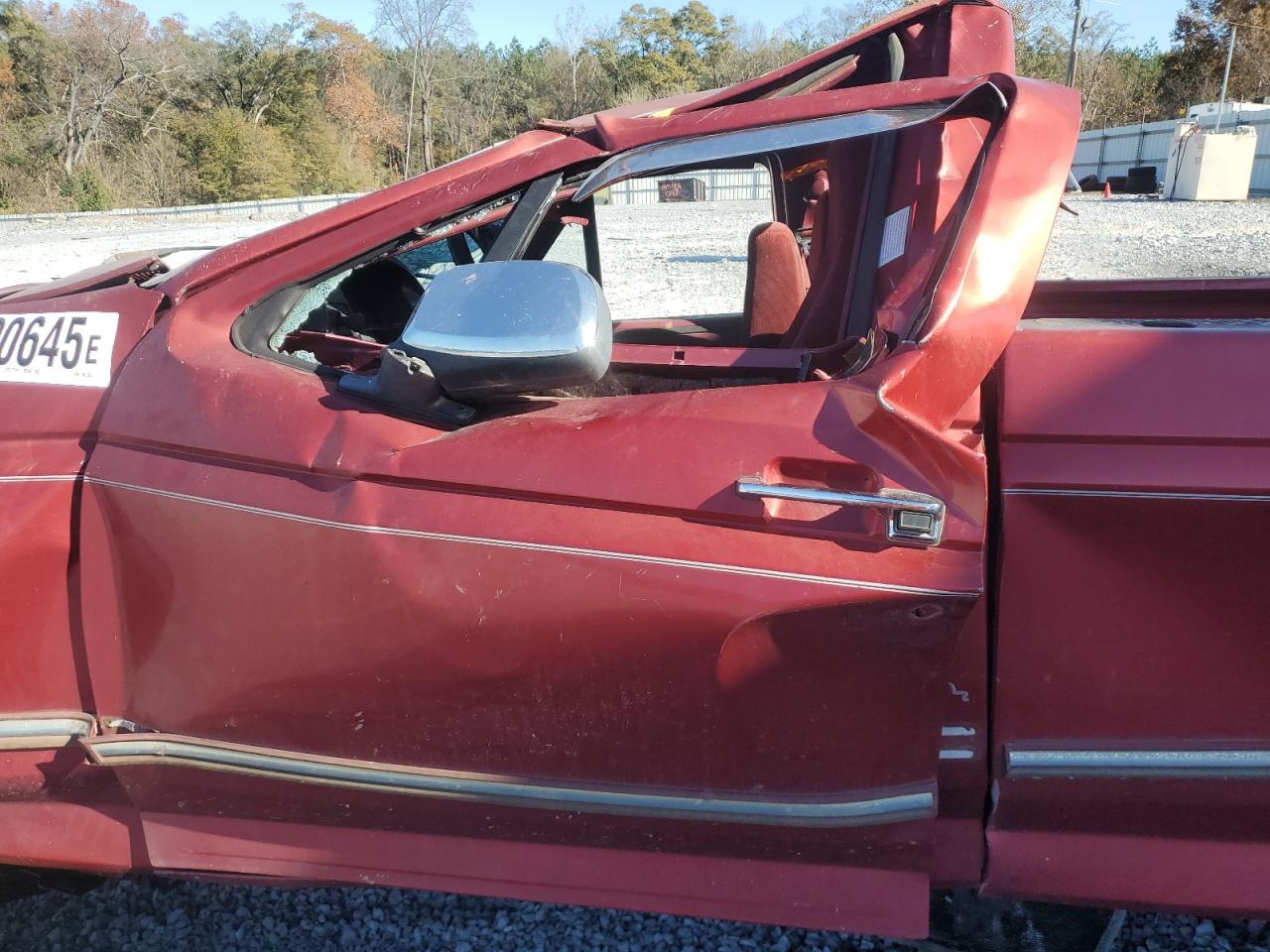 1996 Ford F150 VIN: 1FTEF14N2TLA61062 Lot: 92090645