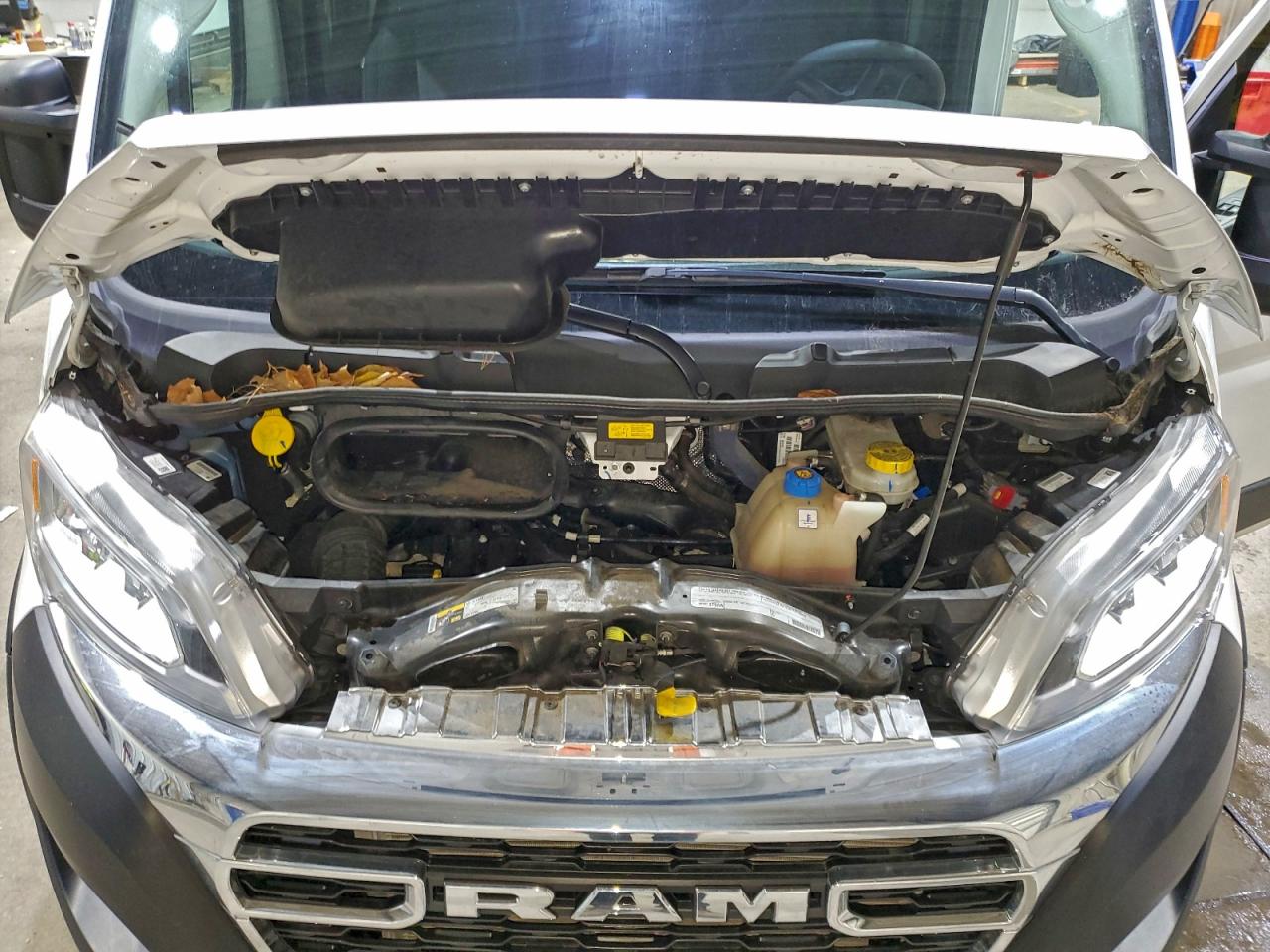 2024 Ram Promaster 2500 2500 High VIN: 3C6LRVDG9RE114209 Lot: 94273555