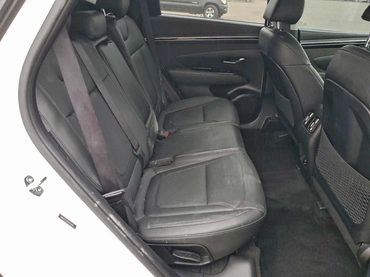 2024 Hyundai Tucson Limited VIN: 5NMJECDE8RH366346 Lot: 93559115