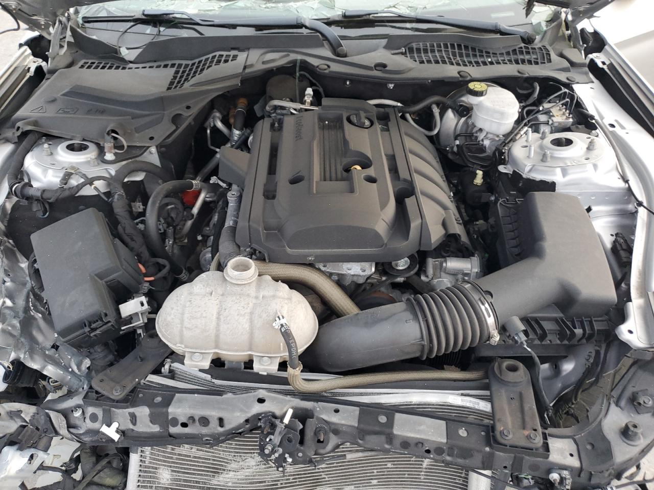 2019 Ford Mustang VIN: 1FA6P8TH2K5114793 Lot: 93747975