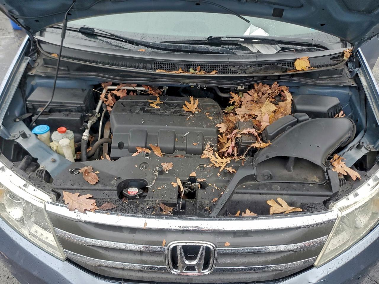 2011 Honda Odyssey Ex VIN: 5FNRL5H40BB098387 Lot: 92914735