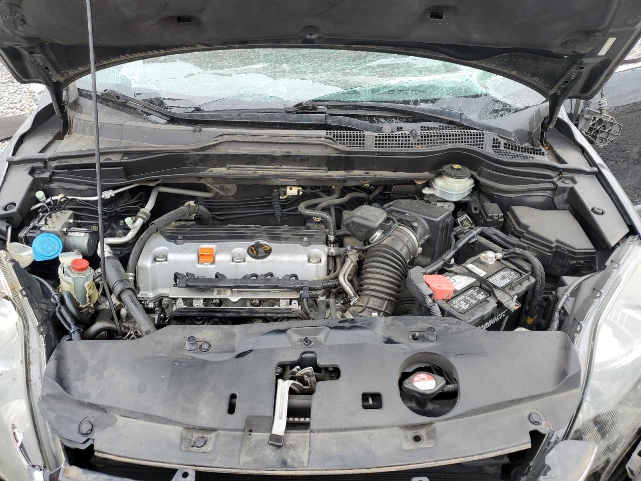 2010 Honda Cr-V Exl VIN: 5J6RE3H71AL014902 Lot: 93427745