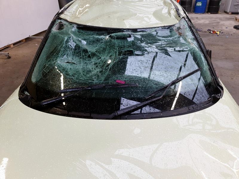 2025 SUZUKI SWIFT 1.2 MILD HYBRID MOTION 5DR