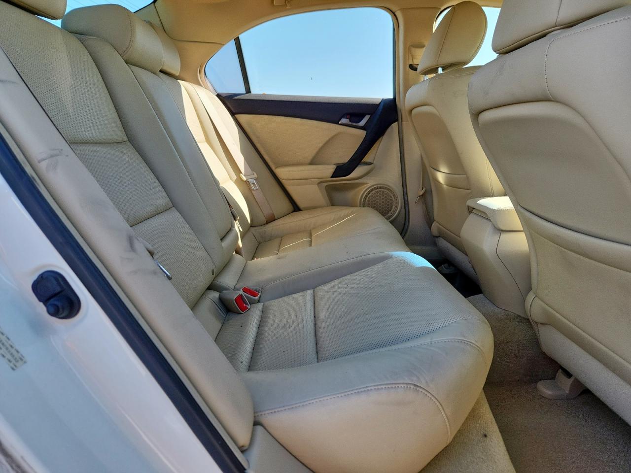 2010 Acura Tsx VIN: JH4CU2F6XAC033532 Lot: 92414555