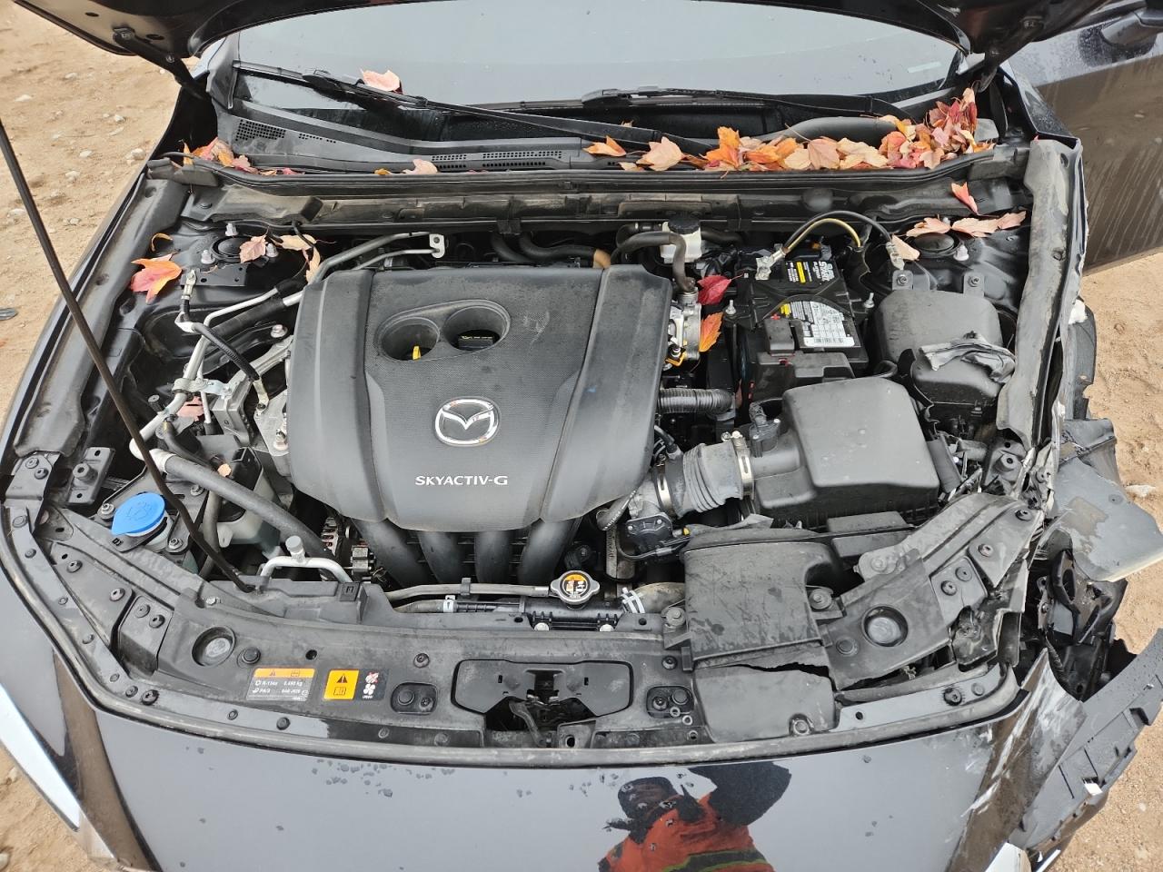 2019 Mazda 3 Premium VIN: 3MZBPAEM8KM102424 Lot: 92884105