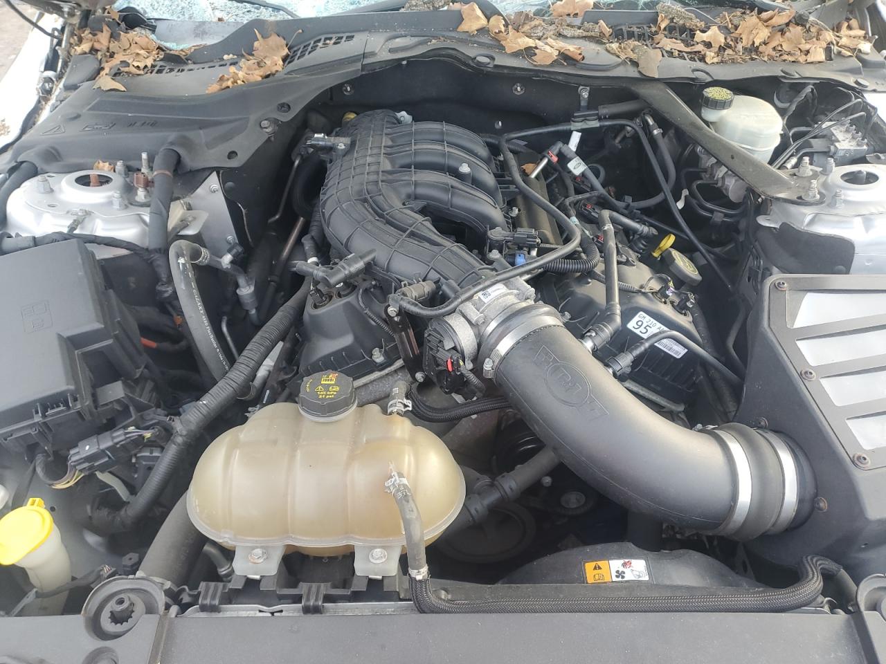 2016 Ford Mustang VIN: 1FATP8EM4G5282021 Lot: 92623845