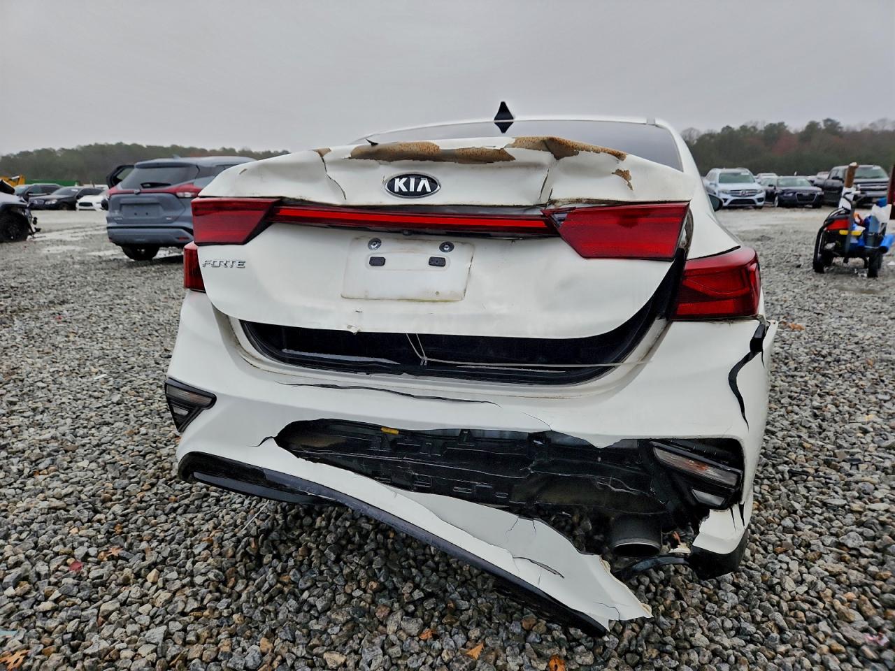 2019 Kia Forte Fe VIN: 3KPF24AD4KE095332 Lot: 93970575