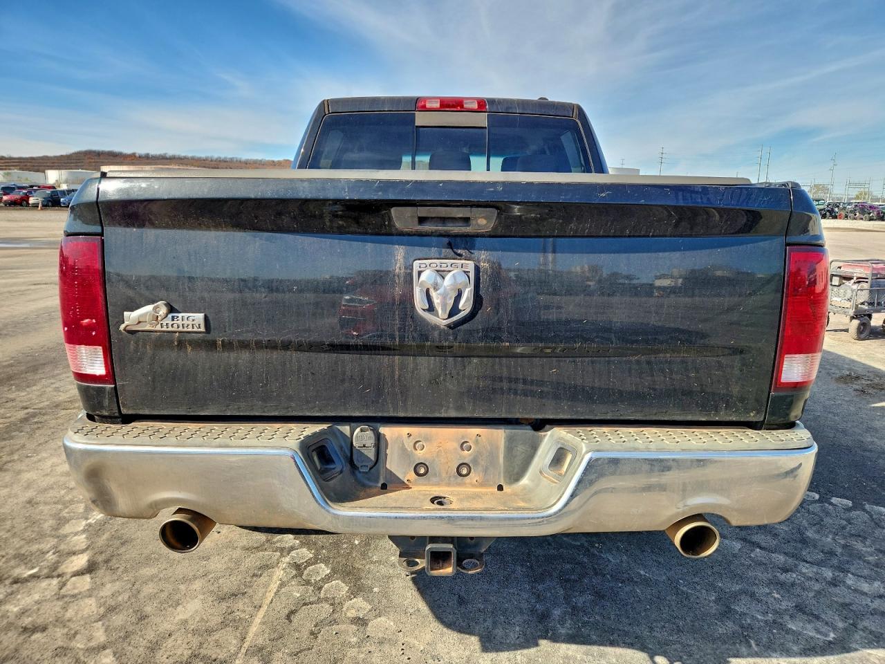 2010 Dodge Ram 1500 VIN: 1D7RB1CT1AS182042 Lot: 94765625