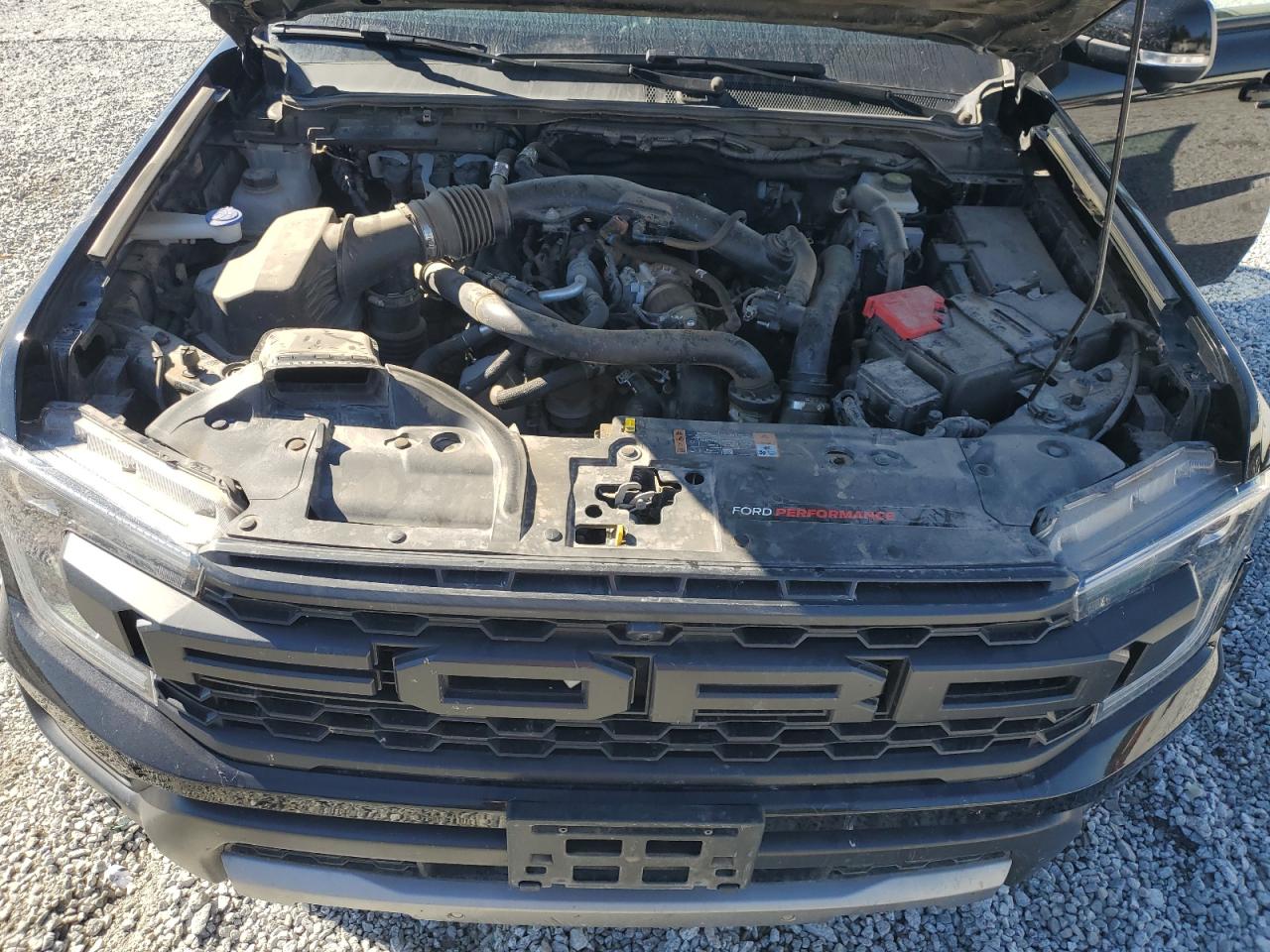 2024 Ford Ranger Raptor VIN: 1FTER4LR3RLE31506 Lot: 91717625