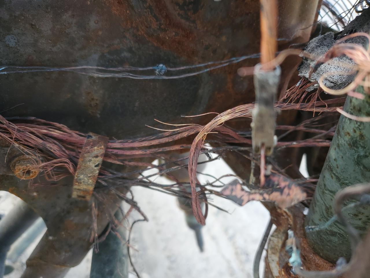 2012 Harley-Davidson Flhtc Electra Glide Classic VIN: 1HD1FFM11CB655557 Lot: 91799385