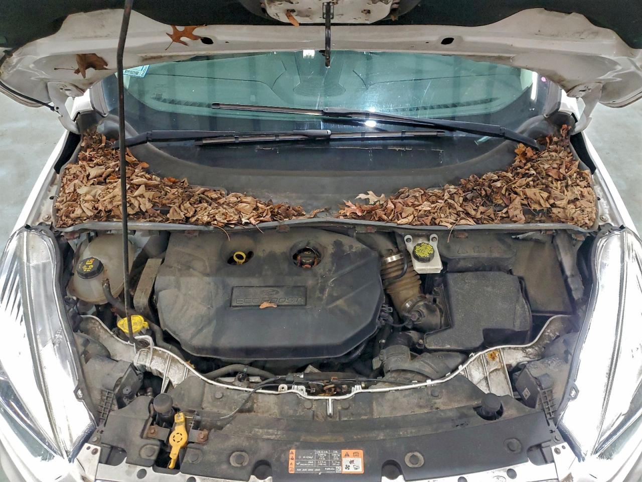 2017 Ford Escape Se VIN: 1FMCU9G97HUC54914 Lot: 94318255