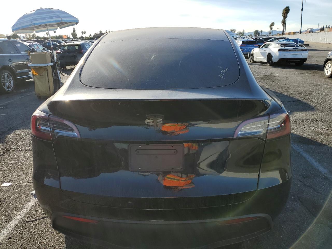 2023 Tesla Model Y VIN: 7SAYGDED4PF943234 Lot: 91243175