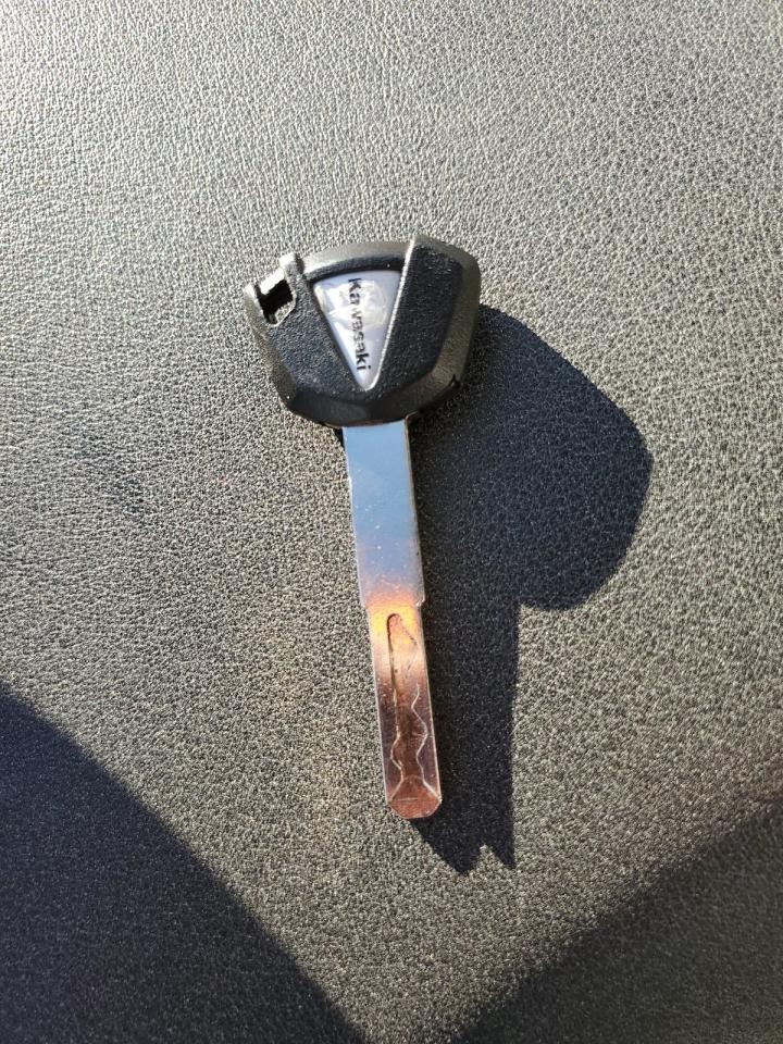 2025 Kawasaki Ex500 VIN: ML5EXGG12SDA66079 Lot: 91431425