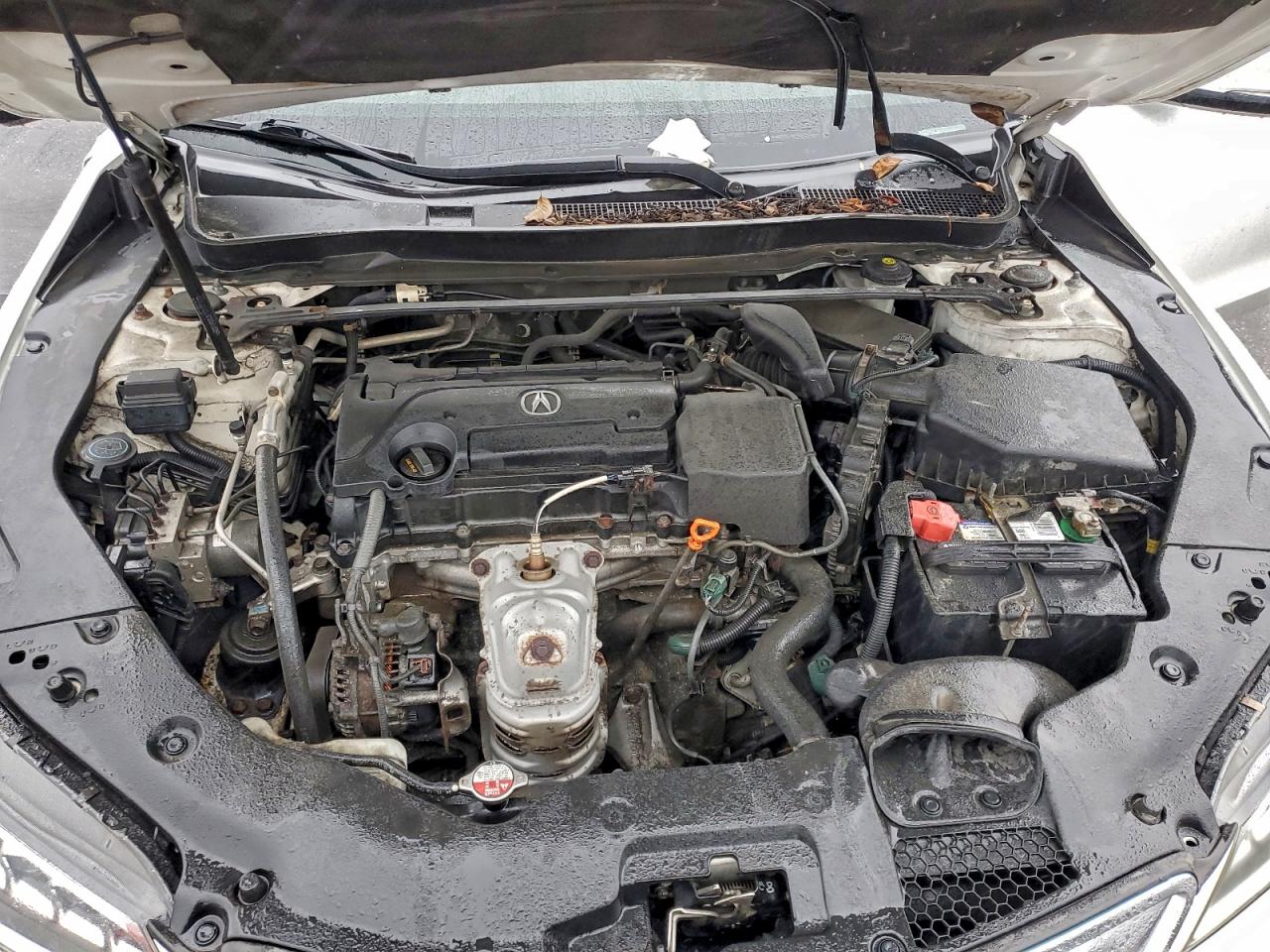 2015 Acura Tlx VIN: 19UUB1F31FA029983 Lot: 94465105