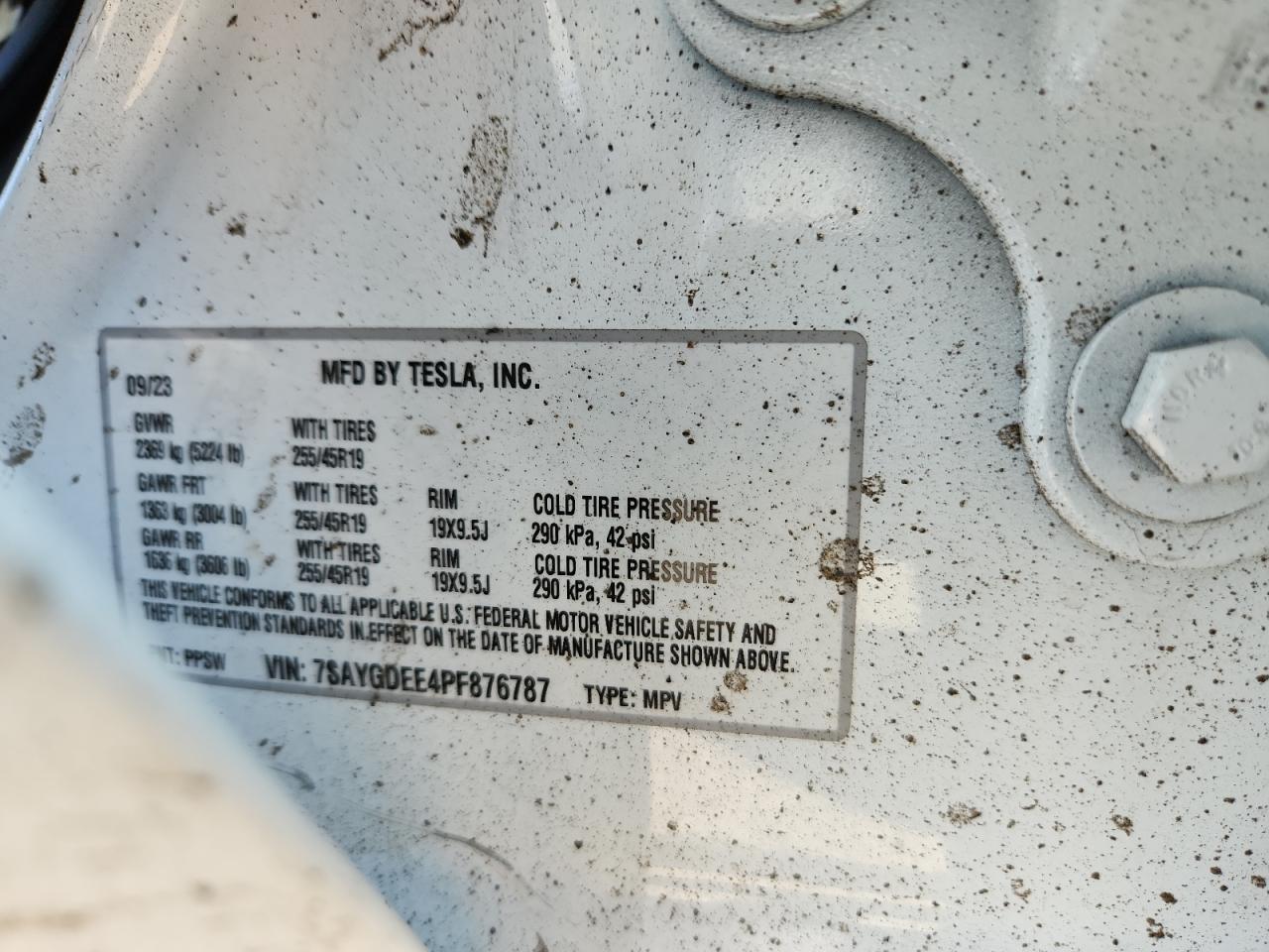 2023 Tesla Model Y VIN: 7SAYGDEE4PF876787 Lot: 93383515