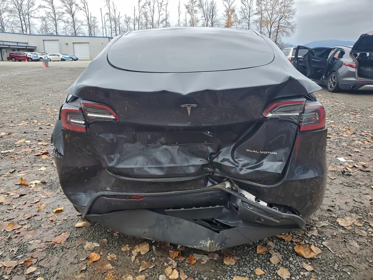 2024 Tesla Model Y VIN: 7SAYGDEE9RF014961 Lot: 93513425