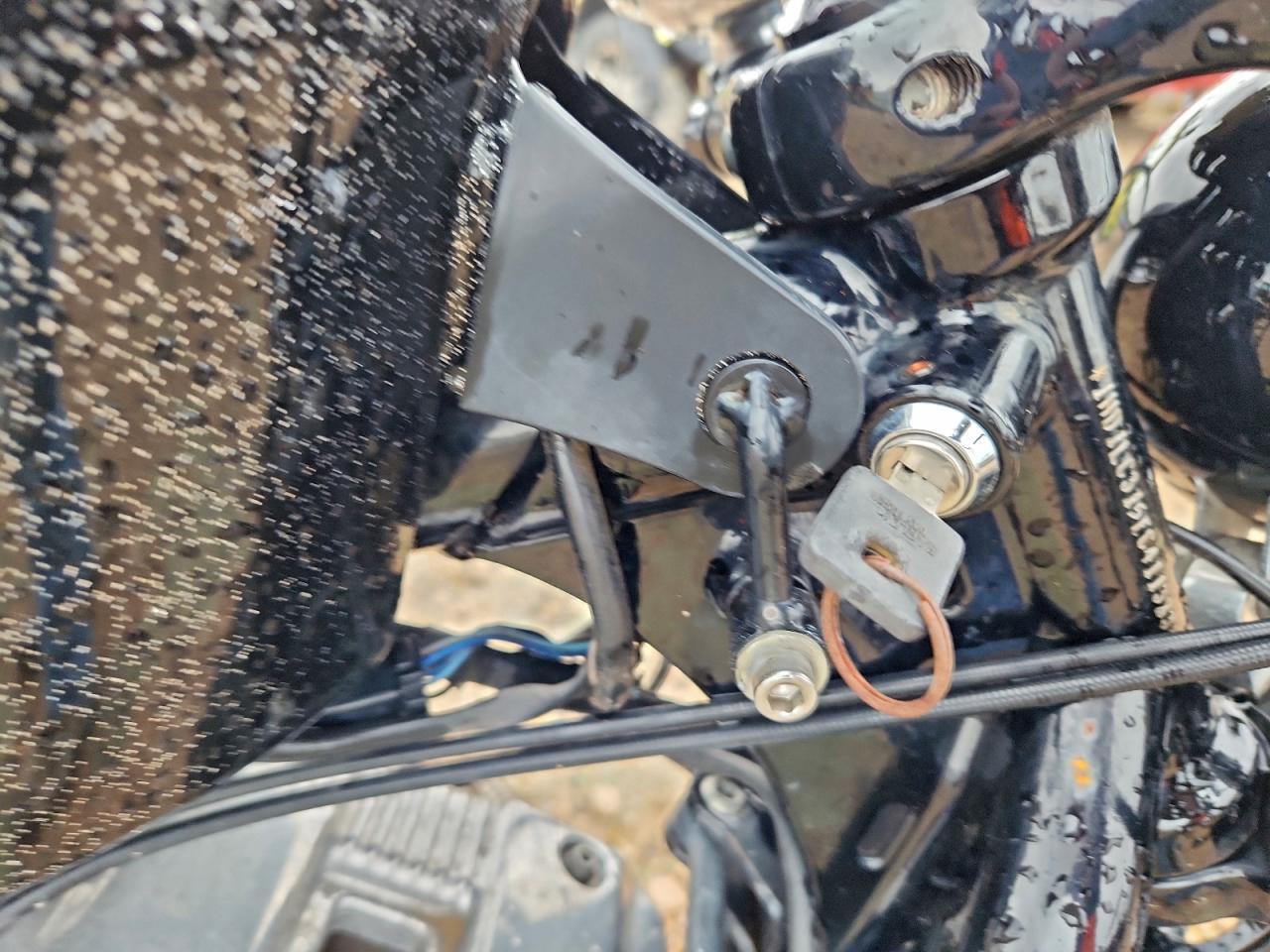 2014 Harley-Davidson Xl1200 Forty-Eight VIN: 1HD1LC315EC411383 Lot: 94518695