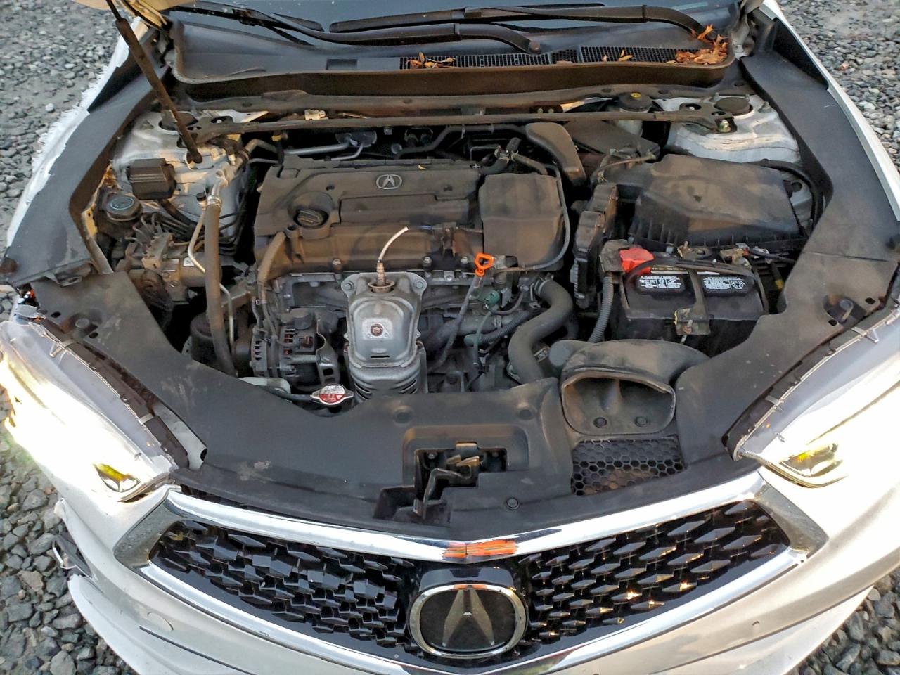 2019 Acura Tlx VIN: 19UUB1F35KA010444 Lot: 93690485