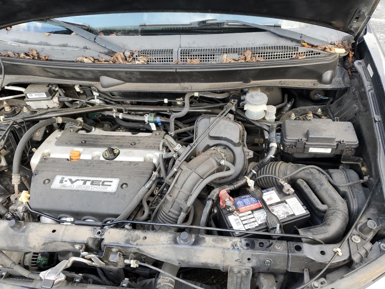 2006 Honda Element Ex VIN: 5J6YH27766L003058 Lot: 90620215