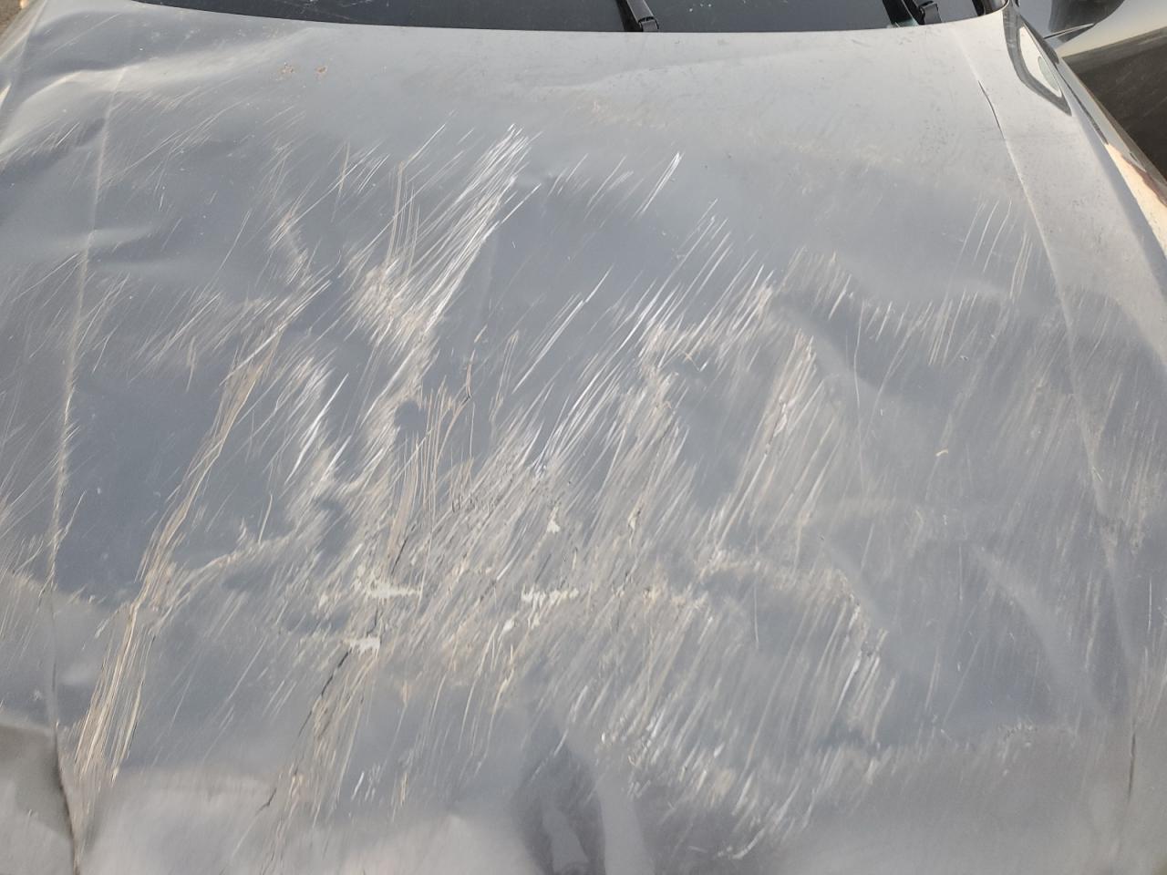 2021 Audi A4 Premium Plus 45 VIN: WAUEAAF46MN007401 Lot: 91642545