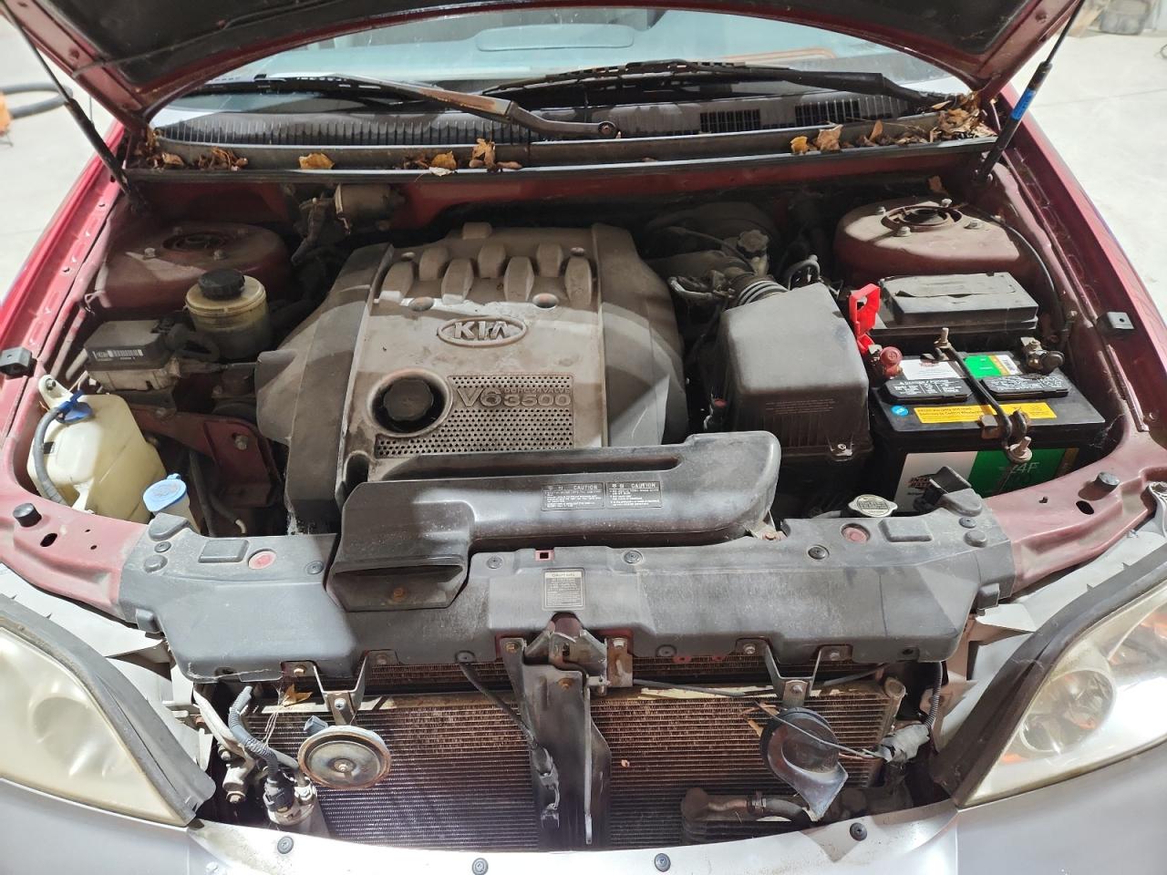 2003 Kia Sedona Ex VIN: KNDUP131436378198 Lot: 92449685