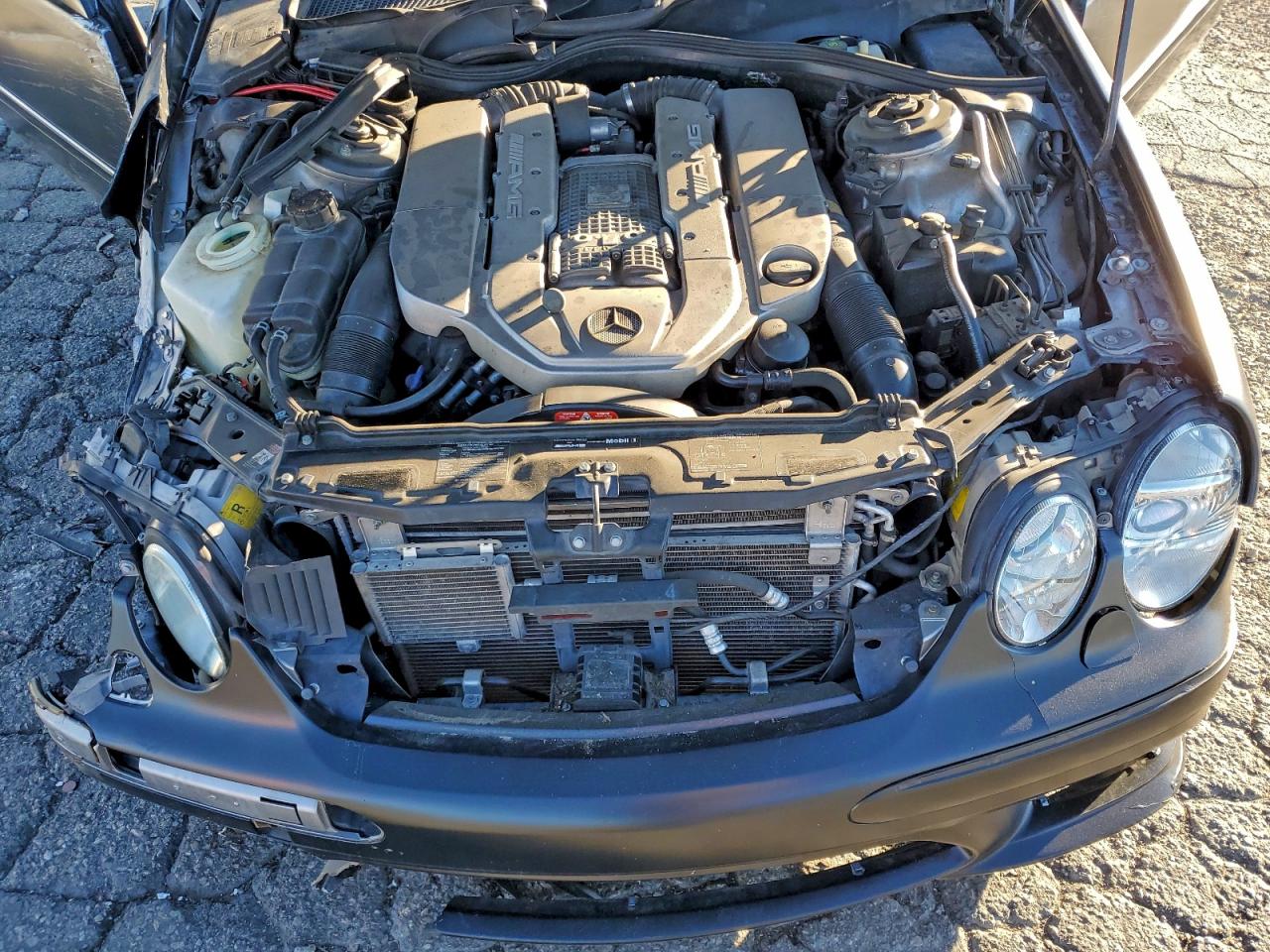 2004 Mercedes-Benz Cl 55 Amg VIN: WDBPJ74J44A039602 Lot: 94669455