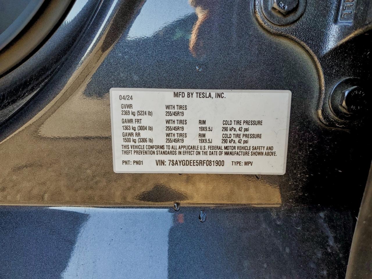 2024 Tesla Model Y VIN: 7SAYGDEE5RF081900 Lot: 94501585