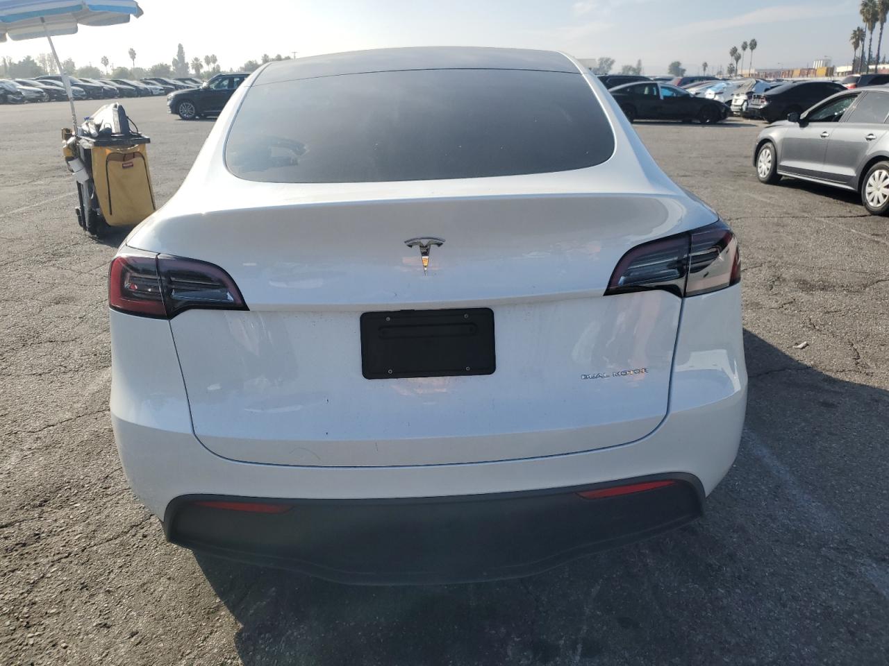 2023 Tesla Model Y VIN: 7SAYGDEE3PF804074 Lot: 90860945