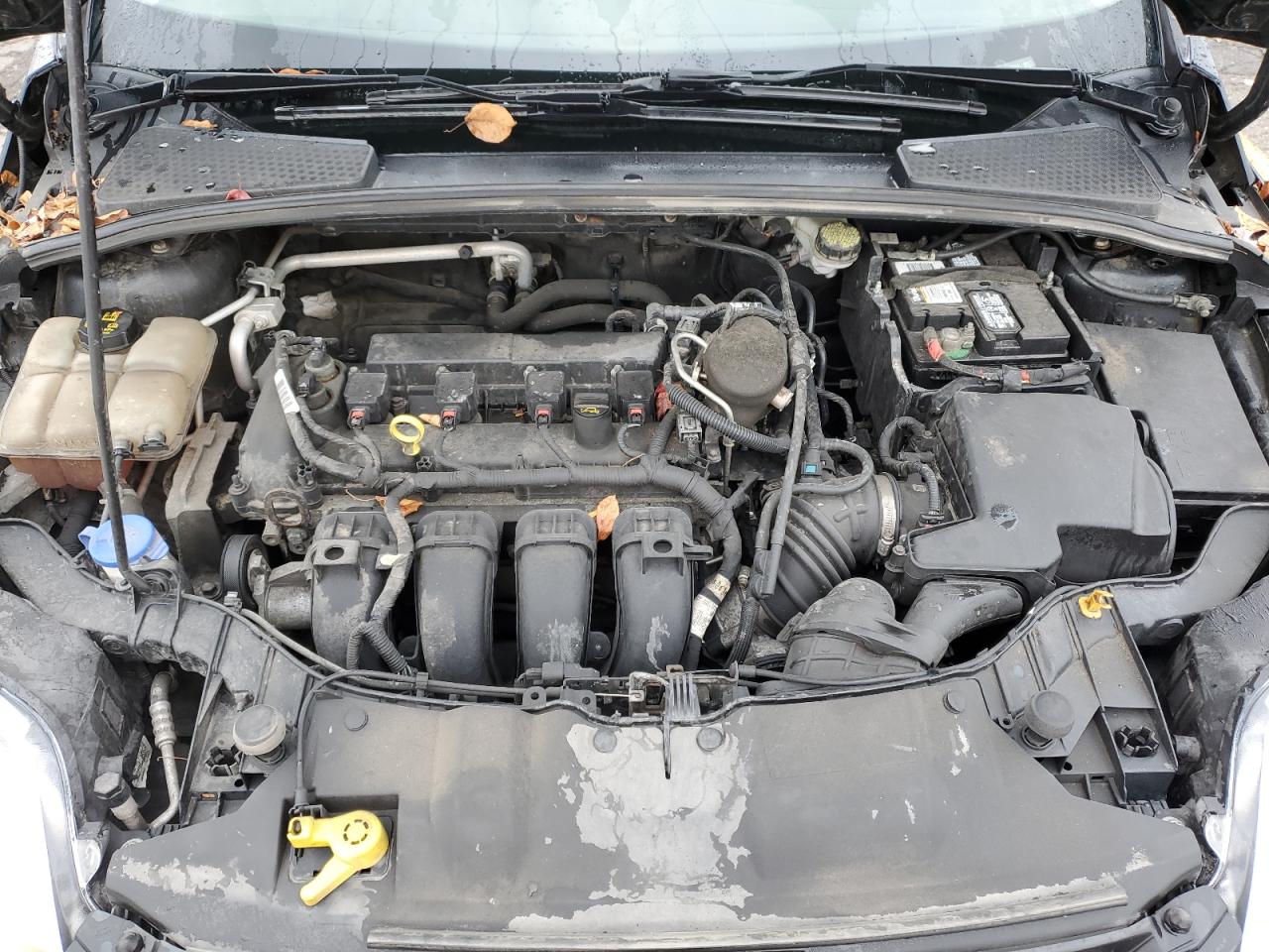 2014 Ford Focus Se VIN: 1FADP3F26EL419084 Lot: 92072635