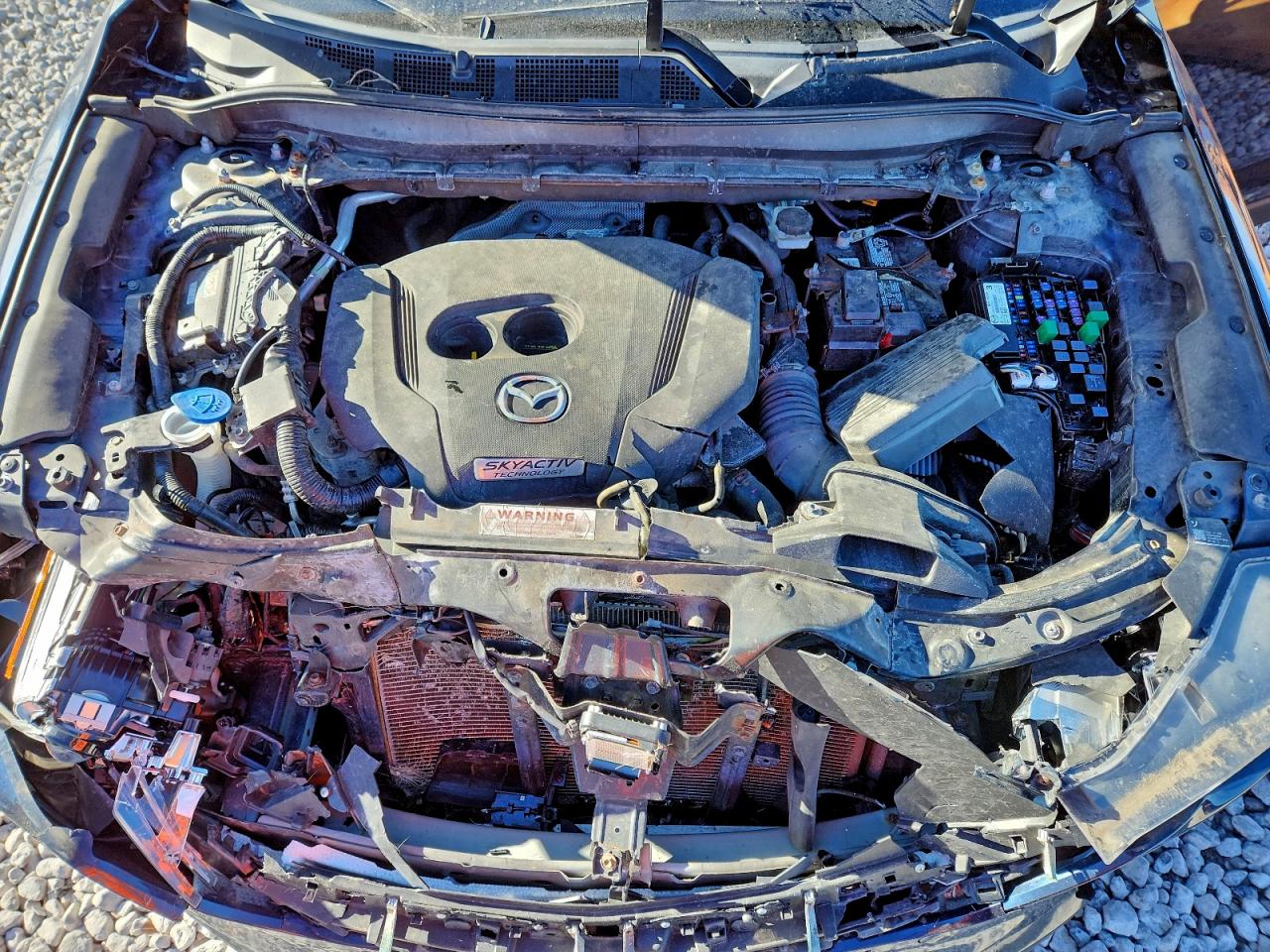 2019 Mazda Cx-5 Signature VIN: JM3KFBEY7K0509255 Lot: 94115345