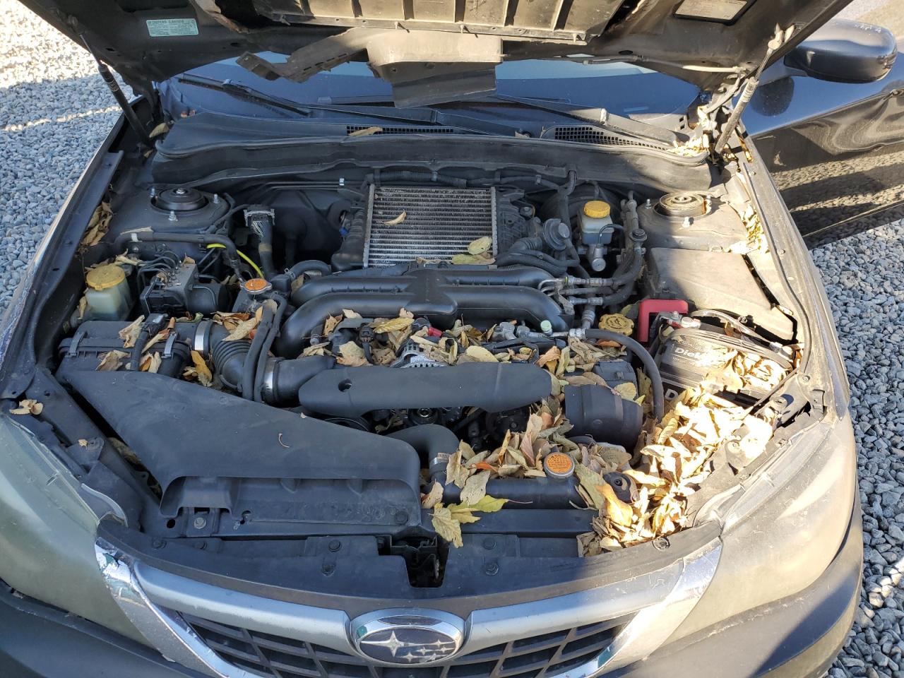 2008 Subaru Impreza Wrx VIN: JF1GH74698G810136 Lot: 93062275