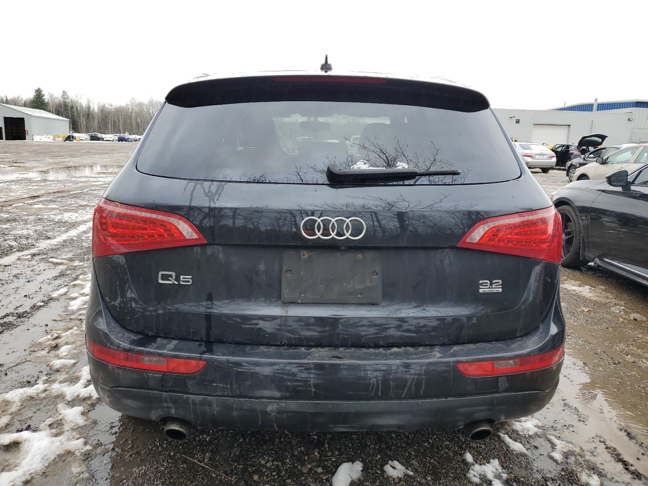 2011 Audi Q5 Premium Plus VIN: WA1LKCFP3BA115695 Lot: 92629135