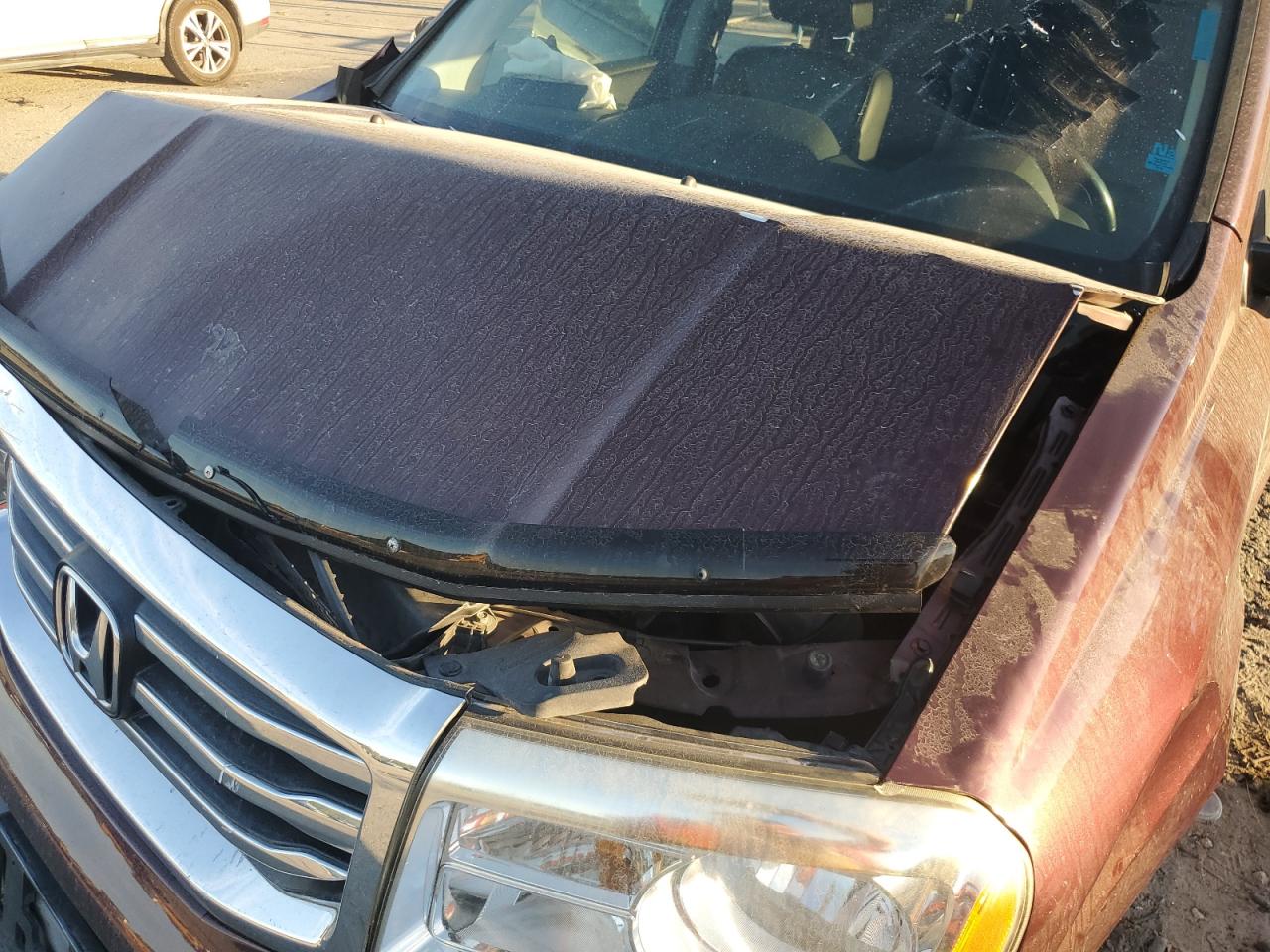 2013 Honda Pilot Exl VIN: 5FNYF4H55DB079195 Lot: 91344955