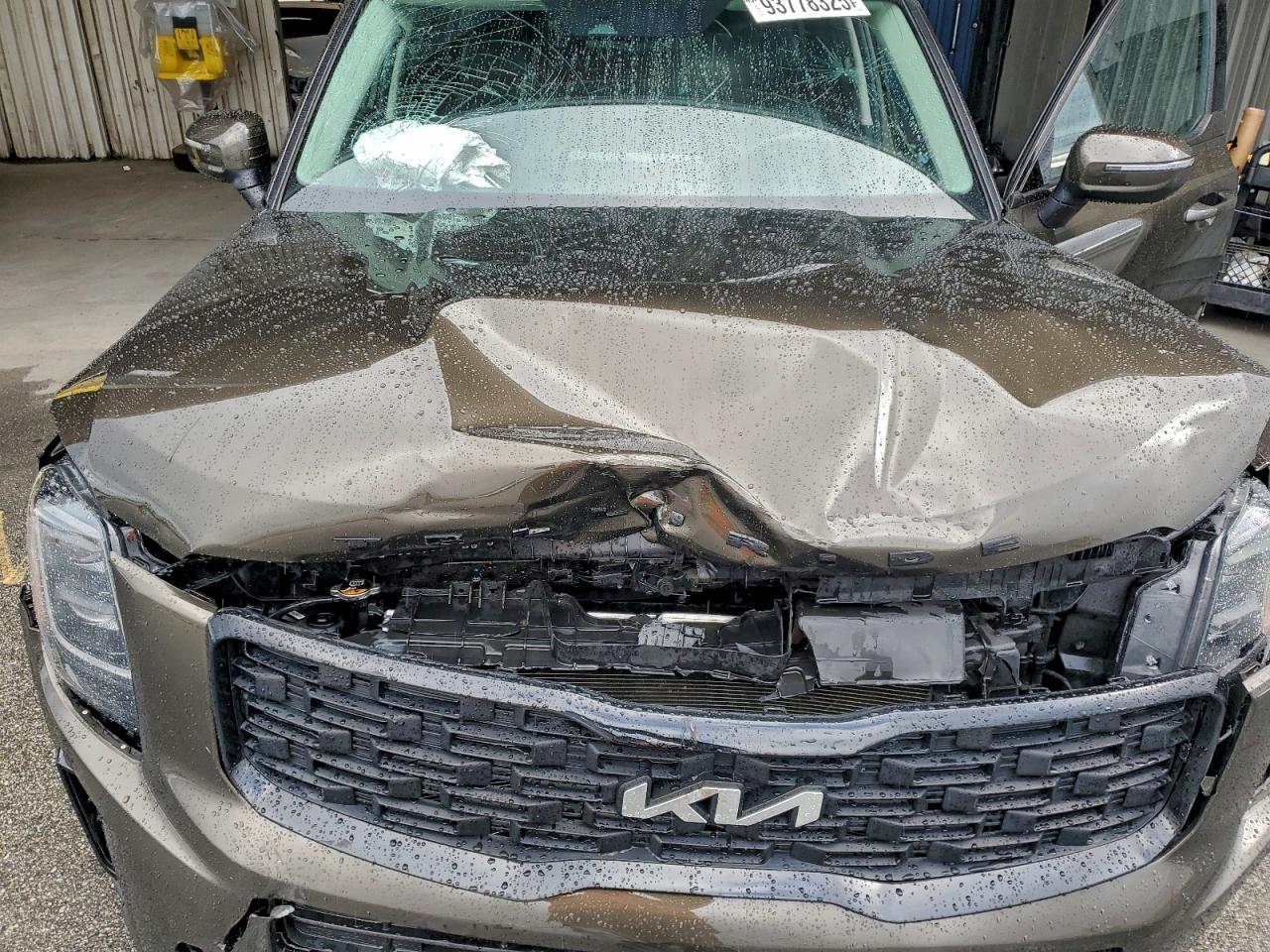 2022 Kia Telluride Ex VIN: 5XYP3DHC3NG283197 Lot: 93778325