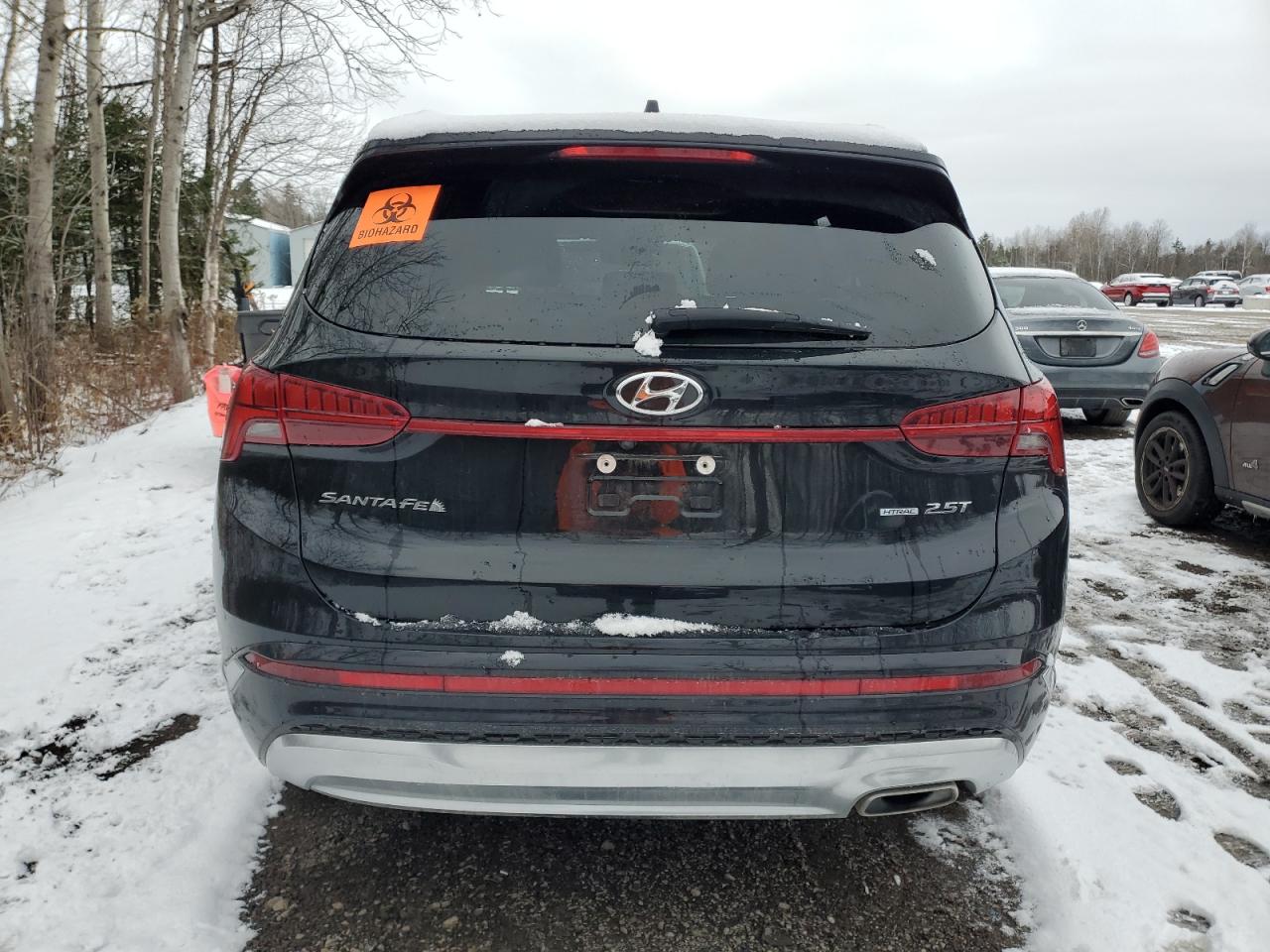 2021 Hyundai Santa Fe Calligraphy VIN: 5NMS5DALXMH337713 Lot: 92724355