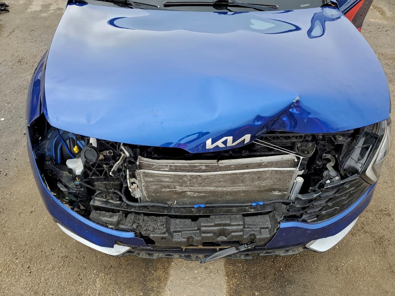 2023 Kia Sportage Ex VIN: 5XYK33AF1PG038202 Lot: 94180695