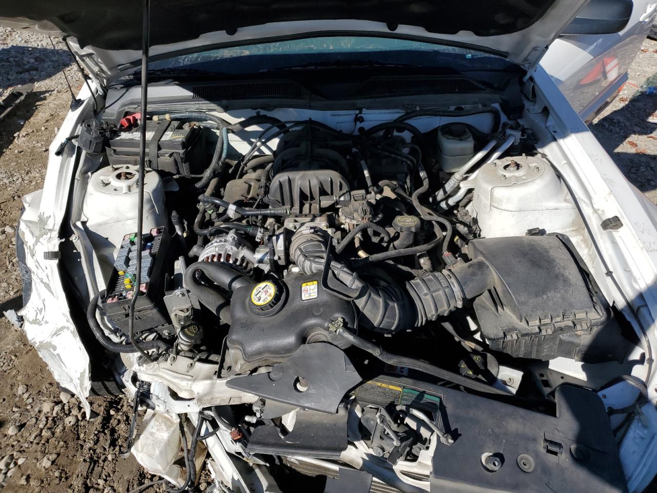 2007 Ford Mustang VIN: 1ZVFT80N675295675 Lot: 91176335