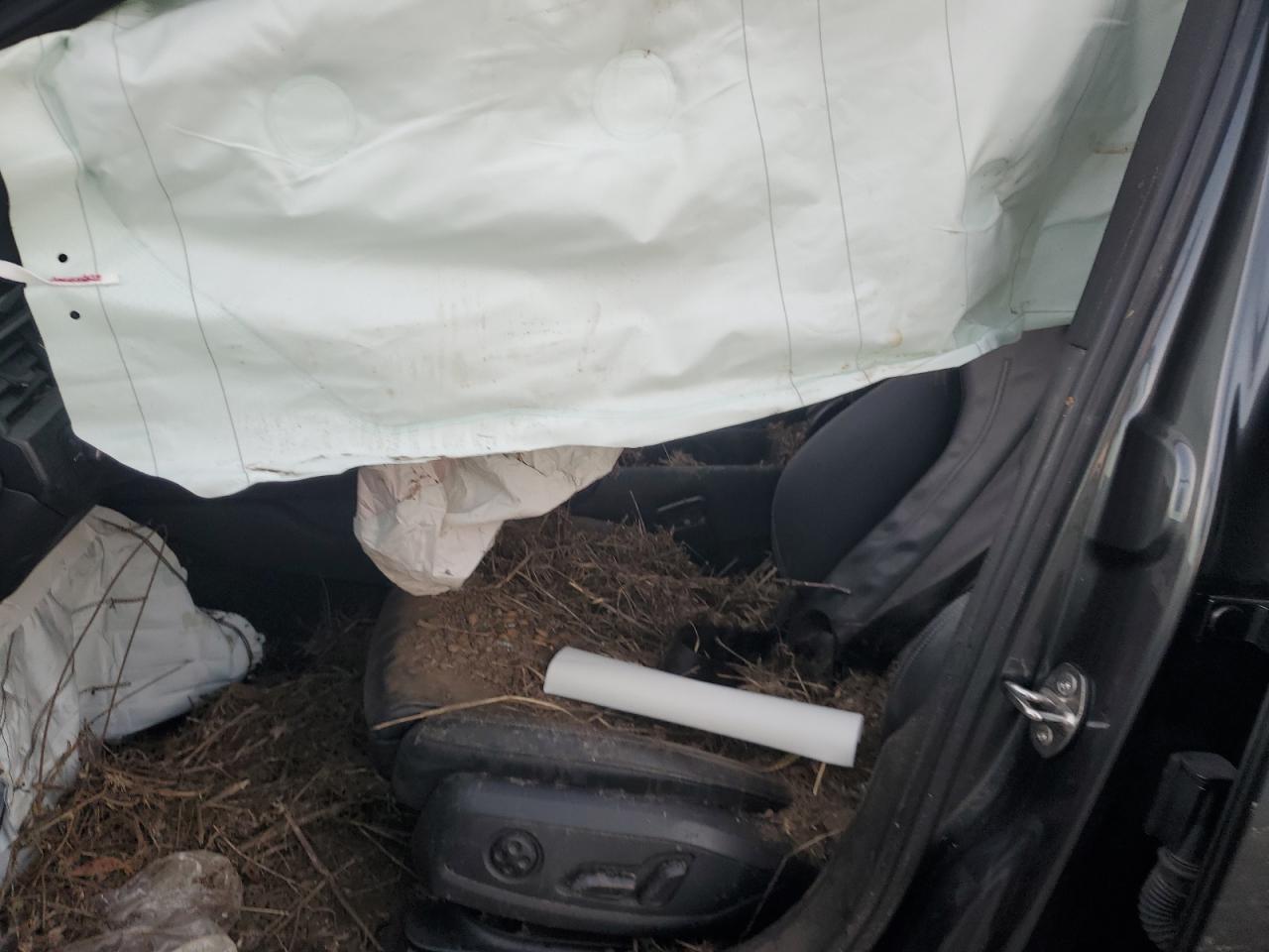 2021 Audi A4 Premium Plus 45 VIN: WAUEAAF46MN007401 Lot: 91642545