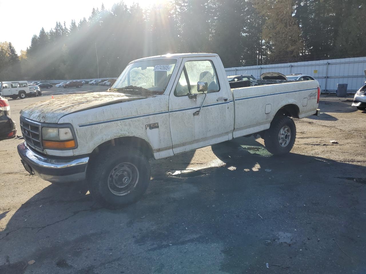 1995 Ford F150