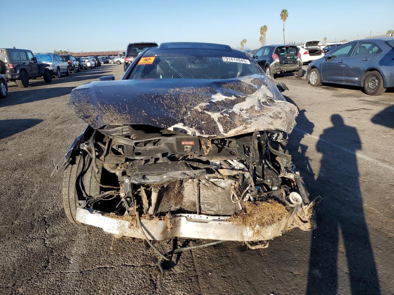 Фото: WDDLJ7DB6EA110542